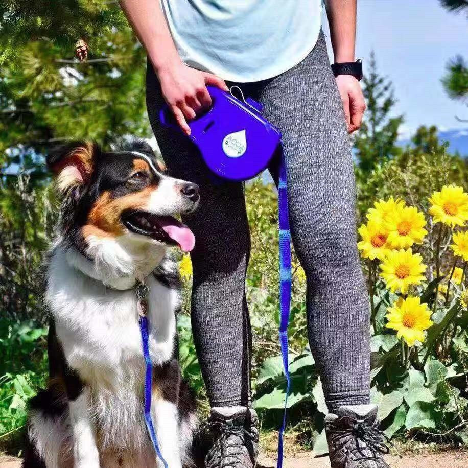 Dog wearing Portable Water Bottle Dog Leash on a walk